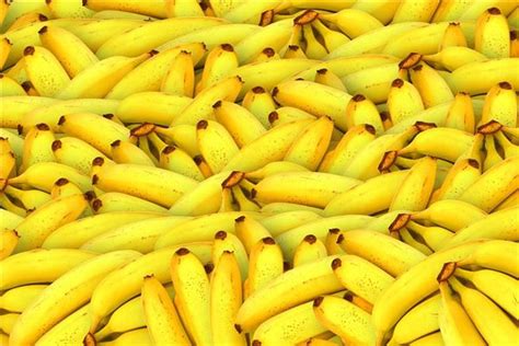 夢見香蕉是幾號
